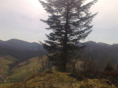 010520101310.jpg