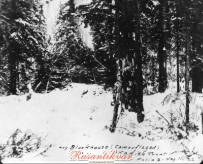 Log_Blockhouse_camo_Kodish.jpg