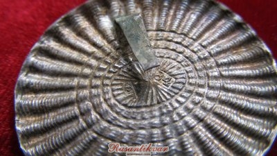 IMG_7281.JPG