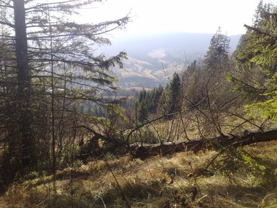 Карпати-4.jpg