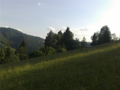d9089208b1f6.jpg