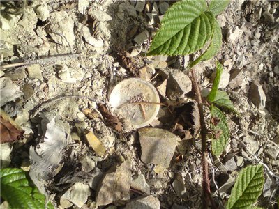 971b773d74ab.jpg (120.97 КБ) 13522 просмотра 971b773d74ab.jpg