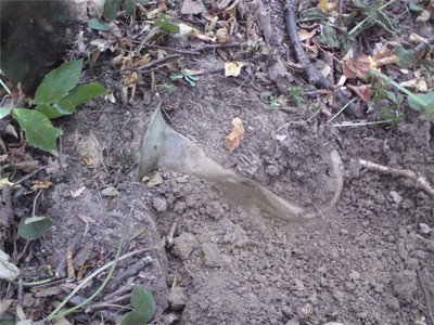 2490afbe1196.jpg (98.25 КБ) 13174 просмотра 2490afbe1196.jpg