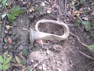 6259ac170e75.jpg (107.29 КБ) 13183 просмотра 6259ac170e75.jpg