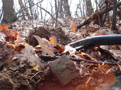 70639ff477ca.jpg (95.59 КБ) 13183 просмотра 70639ff477ca.jpg