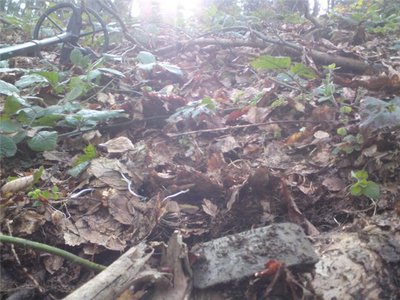 a369b1e1d2af.jpg (82.73 КБ) 13175 просмотров a369b1e1d2af.jpg