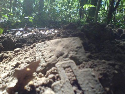 39957932db0c.jpg (76.16 КБ) 13522 просмотра 39957932db0c.jpg