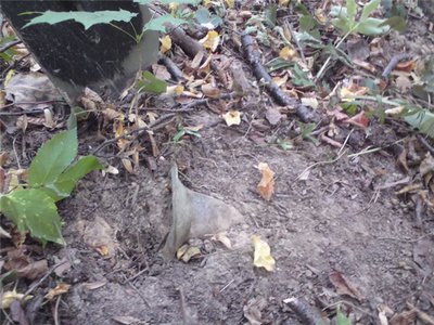 26987928fa82.jpg (94.33 КБ) 13175 просмотров 26987928fa82.jpg