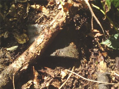 cabbe57e50b5.jpg (78.13 КБ) 13315 просмотров cabbe57e50b5.jpg