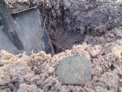 e5556a23d5f9.jpg (76.46 КБ) 13183 просмотра e5556a23d5f9.jpg