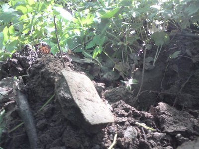 f4d2f0e4ff06.jpg (77.98 КБ) 13183 просмотра f4d2f0e4ff06.jpg