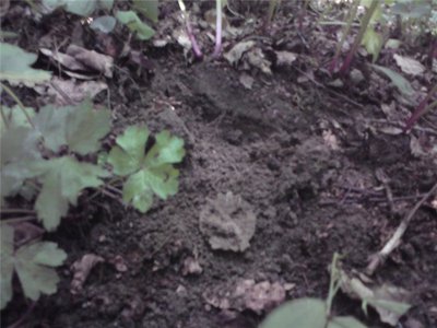 f4e476443ab6.jpg (57.26 КБ) 13175 просмотров f4e476443ab6.jpg