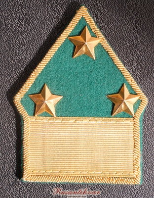 нарукавный-знак-таможна-аверс.jpg