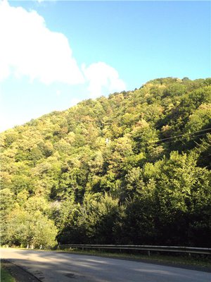 0c085d290f8b.jpg