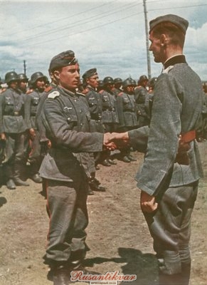 43_Повышение по службе, добровольцы из казачьего полка..jpg