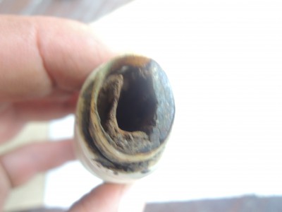 DSCN8187.JPG
