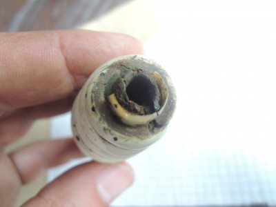 DSCN8188.JPG