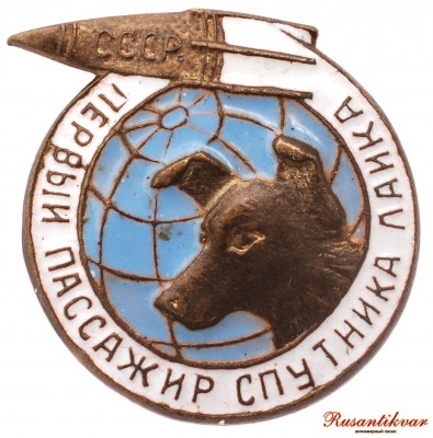 лайка.jpg