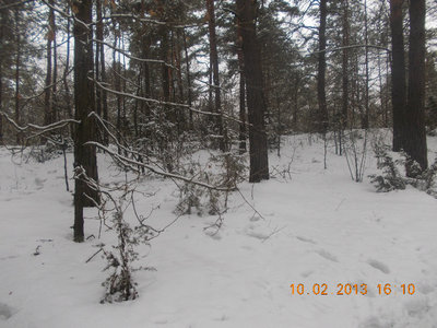 DSCN0701.jpg