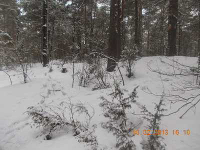 DSCN0703.jpg