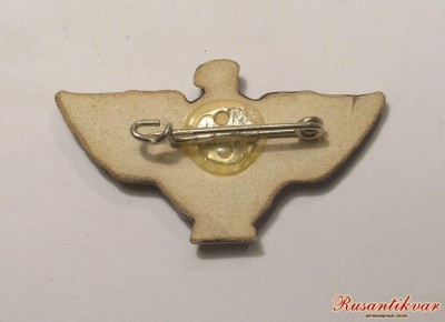 Районный съезд NSDAP, Бонн 1939-2.jpg
