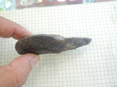 DSCN8932.JPG