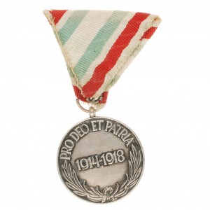 вет-1-мв-венгр-рв.jpg