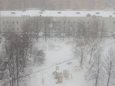905469.JPG