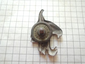 DSCN8950.JPG