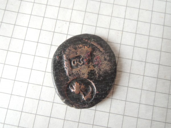 DSCN8797.JPG