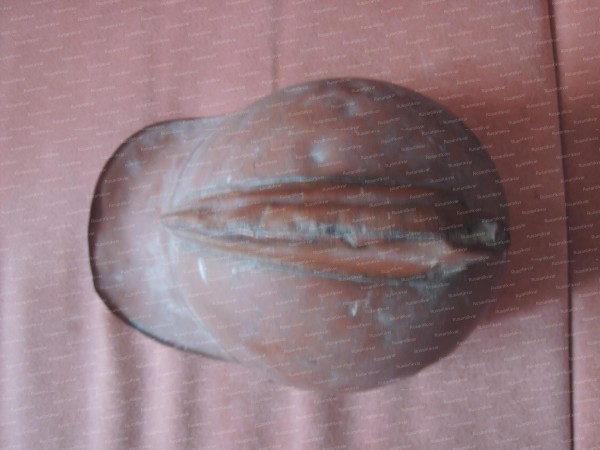 DSCN8795.JPG