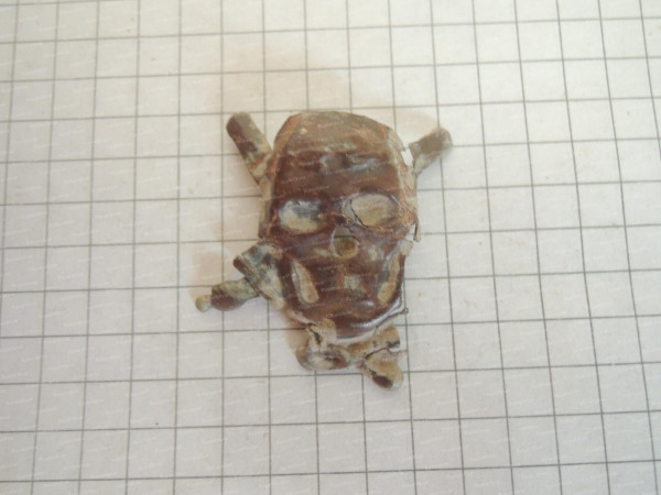 DSCN9093.JPG