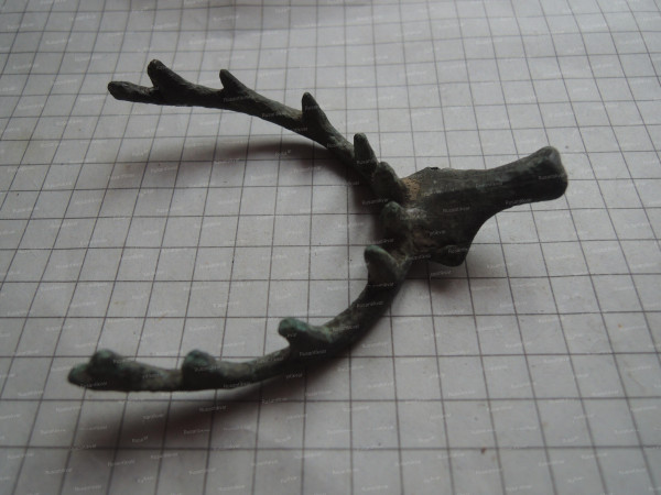 DSCN9389.JPG