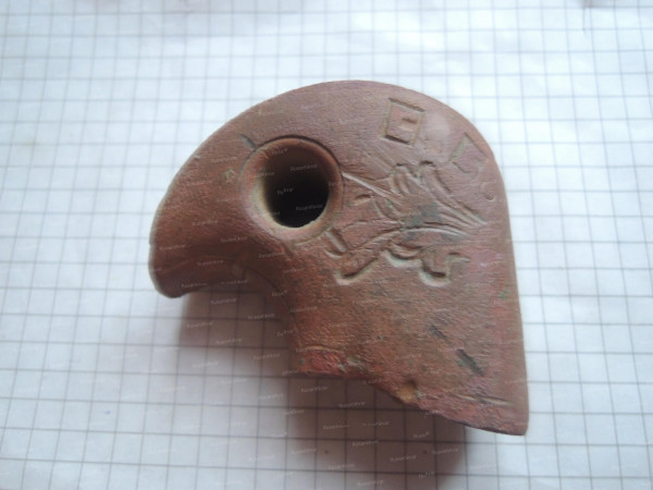DSCN9511.JPG