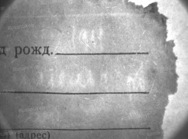 05.jpg
