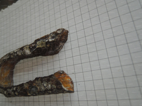 DSCN5171.JPG