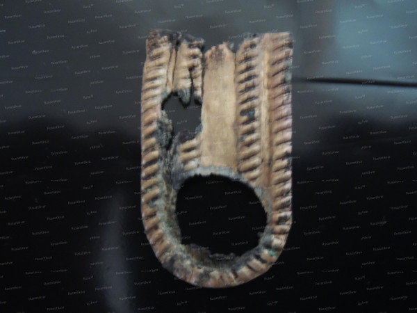 DSCN5190.JPG