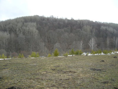 3302264.jpg