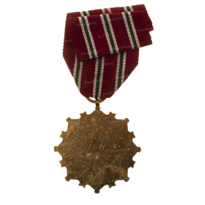 4544.jpg