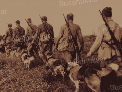1. Подразделение инструкторов с собаками-истребителями танков выходит на боевые позиции.JPG