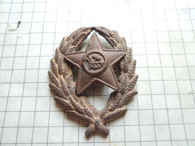 DSCN6419.JPG