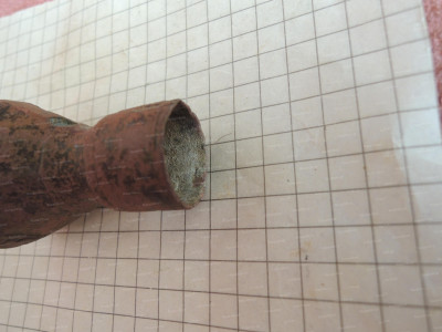 DSCN6346.JPG