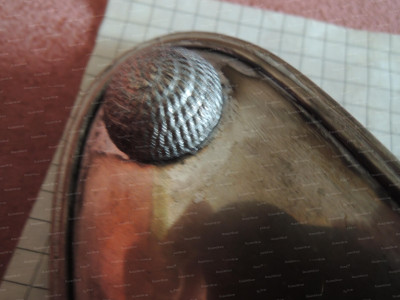 DSCN6575.JPG