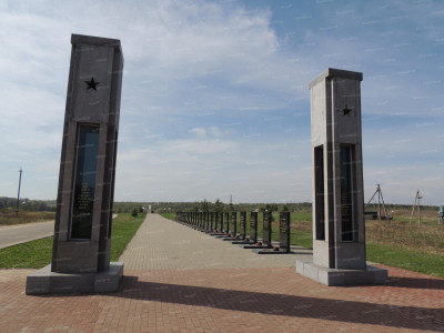 DSCN5562.JPG