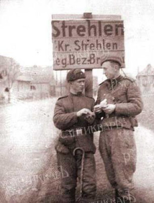 smirnov-(12).jpg