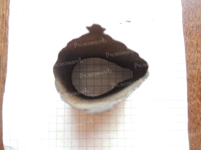 DSCN6909.JPG