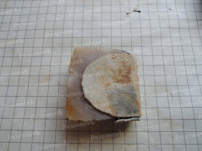 DSCN6993.JPG