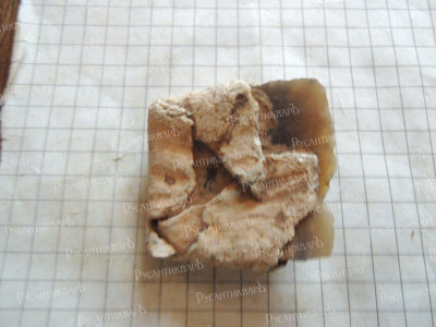 DSCN7137.JPG