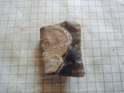 DSCN7139.JPG