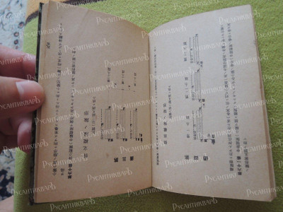 DSCN7173.JPG